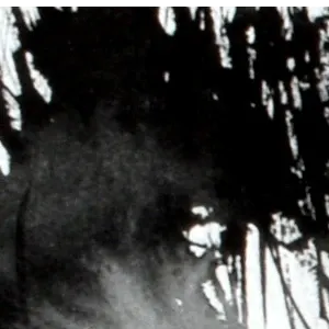 01.webp